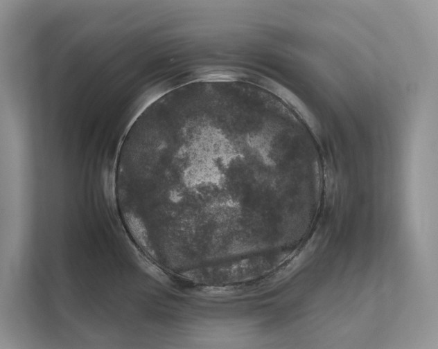 X0000111811194200908061109