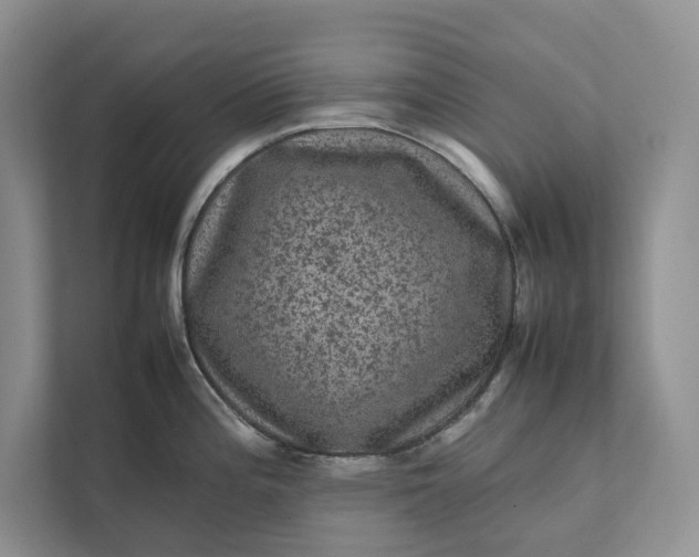 X0000111811196200908061109