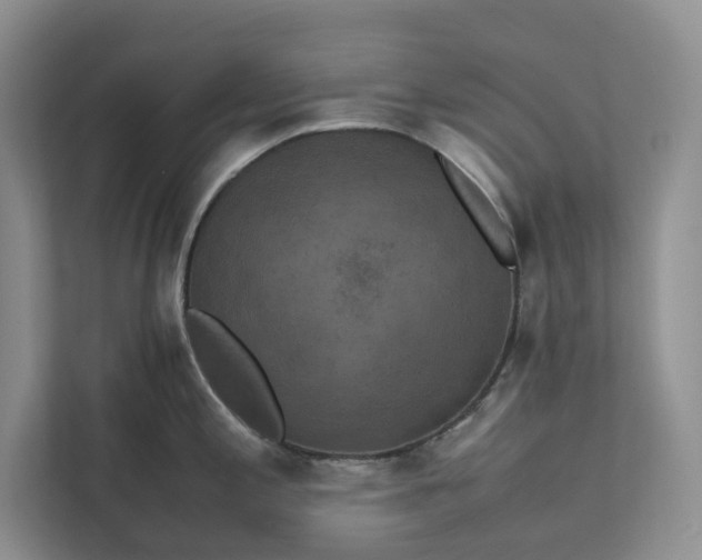 X0000111811197200908061109