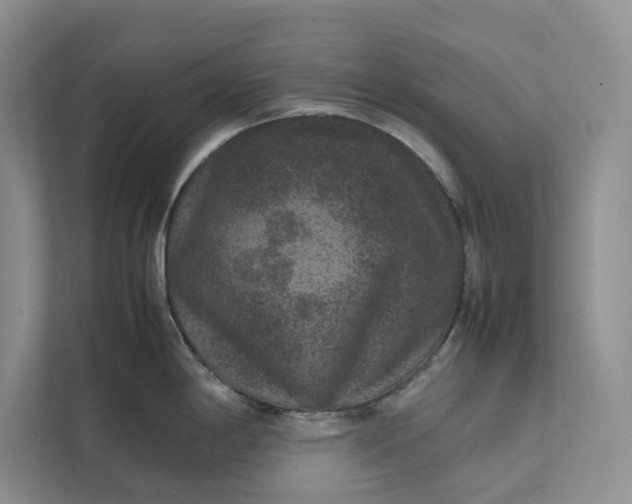 X0000111811198200908061109