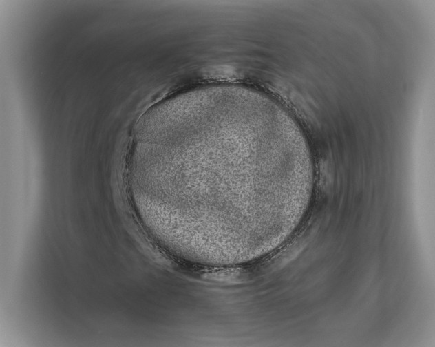 X0000111811201200908061108