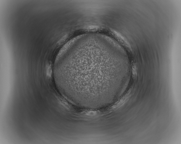X0000111811204200908061108
