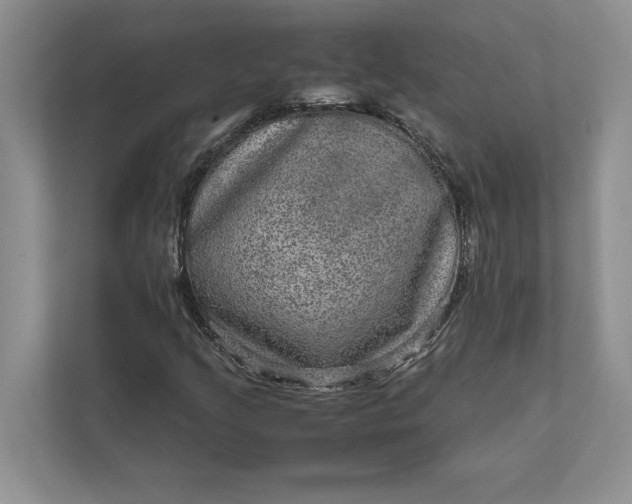X0000111811205200908061108