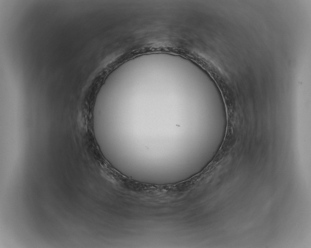 X0000111811207200908061108