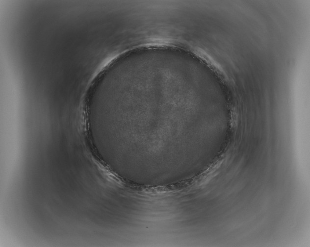 X0000111811208200908061108