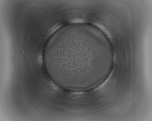X0000111811209200908061108
