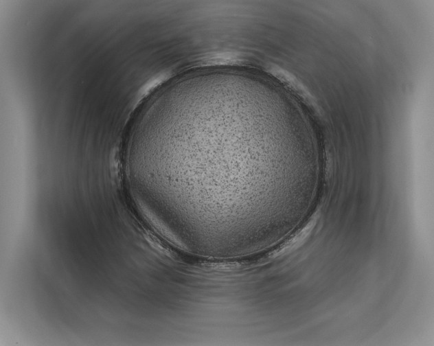 X0000111811210200908061108