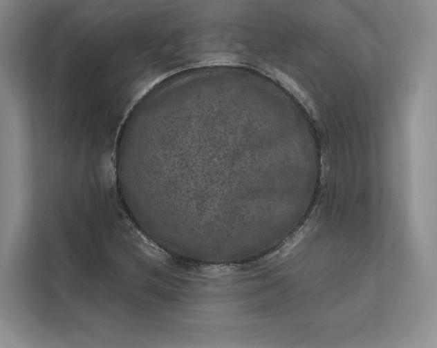 X0000111811212200908061108