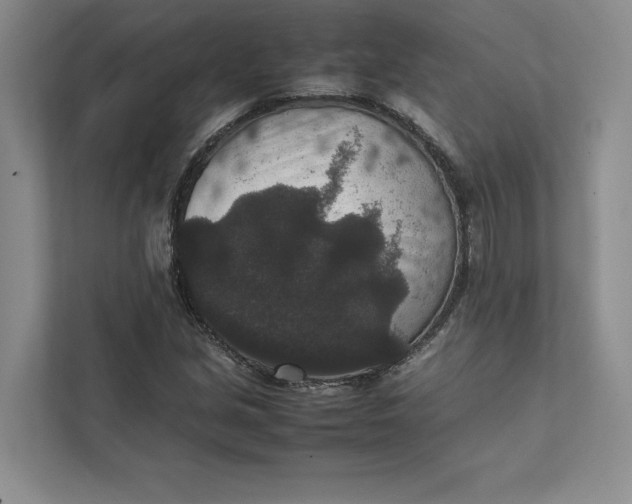 X0000111811213200908061108