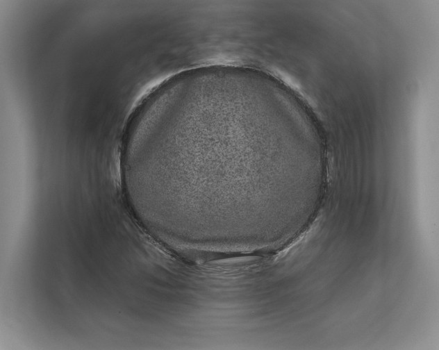 X0000111811214200908061108