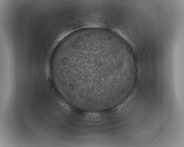 X0000111811215200908061108