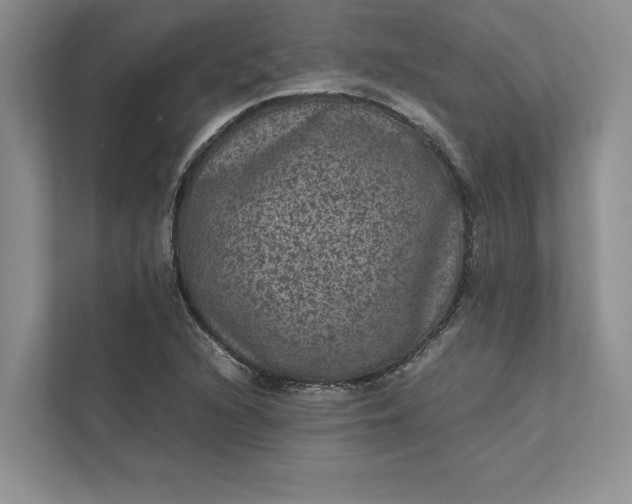 X0000111811216200908061108
