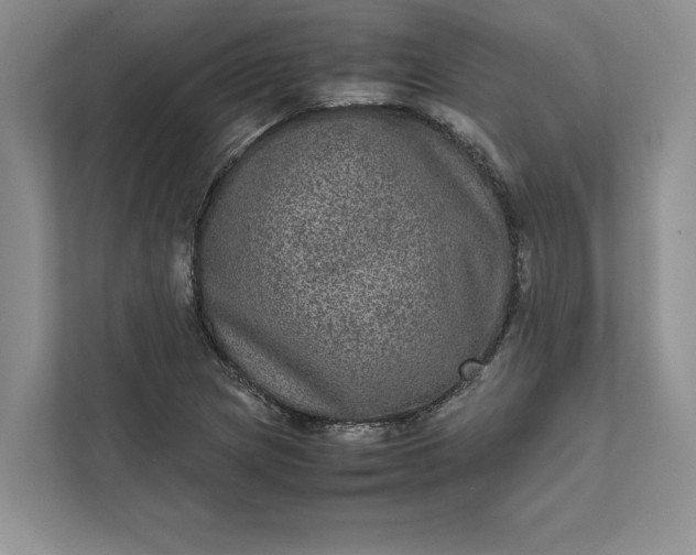 X0000111811217200908061108