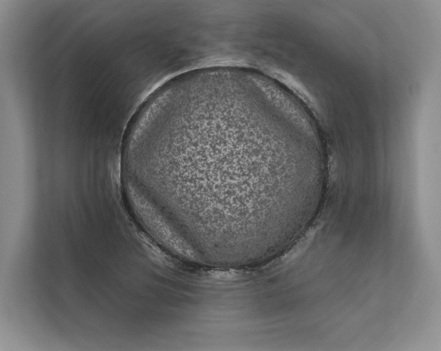 X0000111811220200908061109