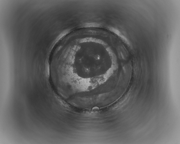 X0000111811221200908061109