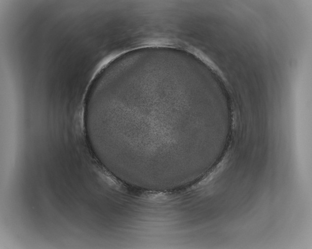 X0000111811222200908061109
