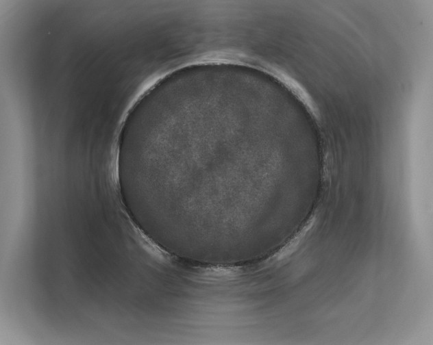 X0000111811224200908061109