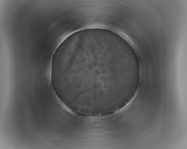 X0000111811228200908061109