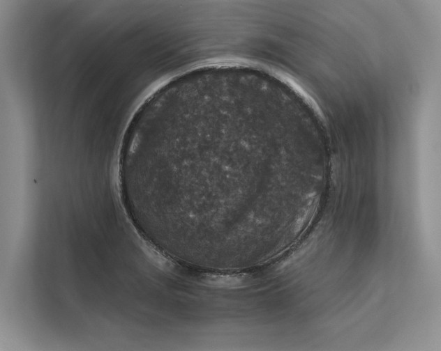 X0000111811229200908061109