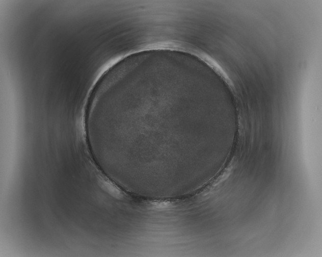 X0000111811230200908061109