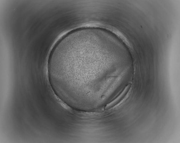 X0000111811232200908061109