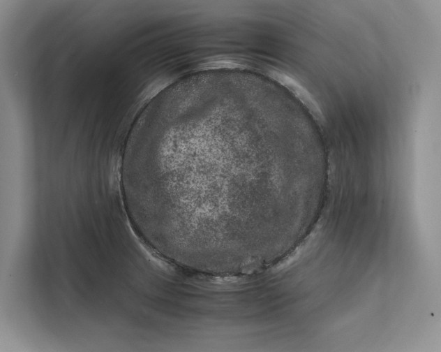 X0000111811233200908061109