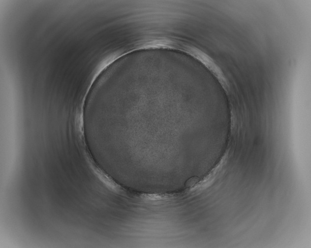 X0000111811234200908061109