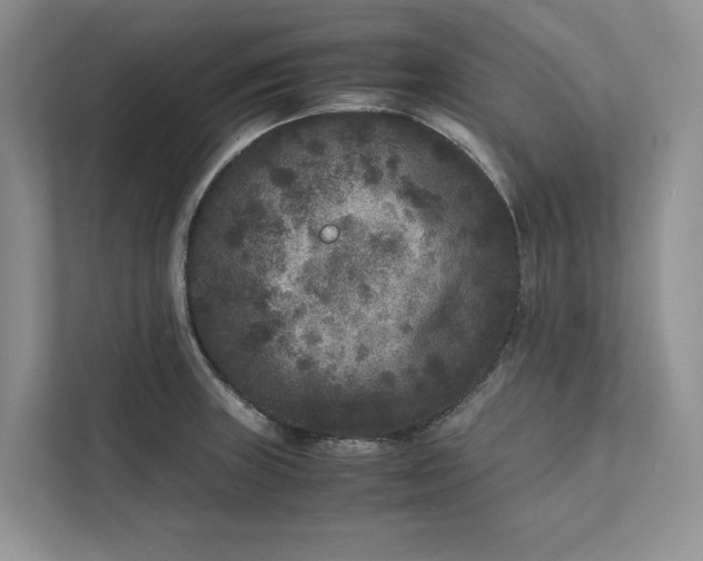 X0000111811235200908061109