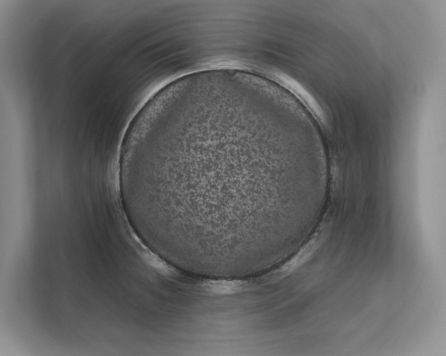 X0000111811236200908061109