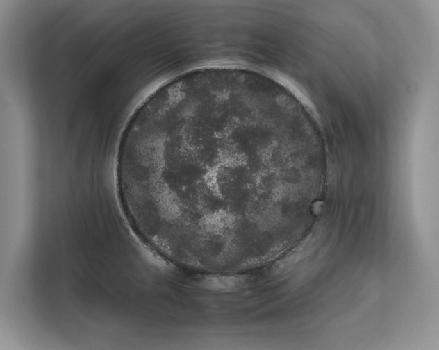 X0000111811237200908061109