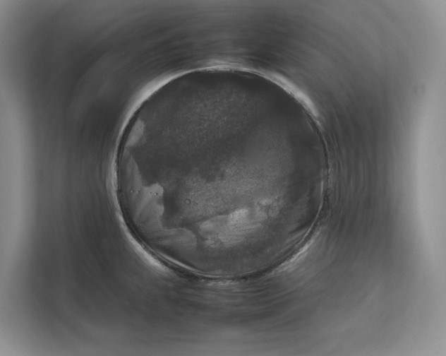 X0000111811239200908061109