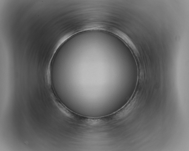 X0000111811242200908061109