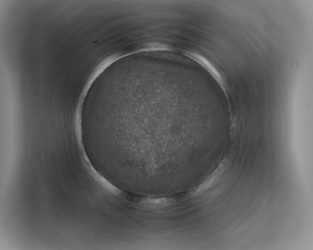 X0000111811243200908061109