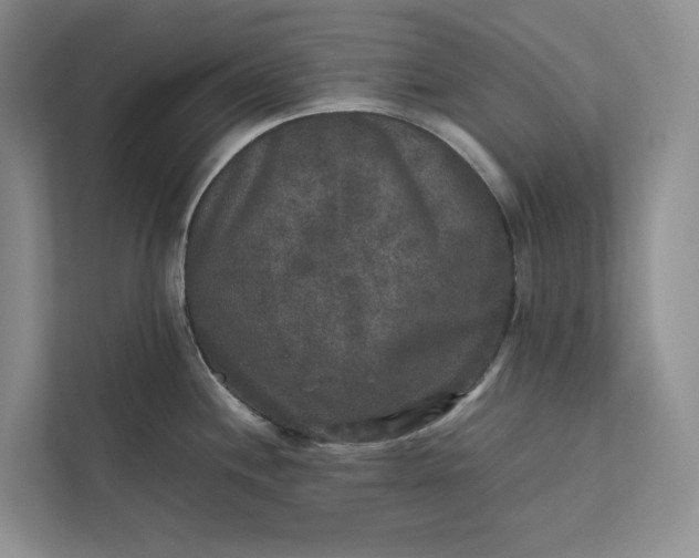X0000111811244200908061109