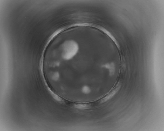 X0000111811245200908061109