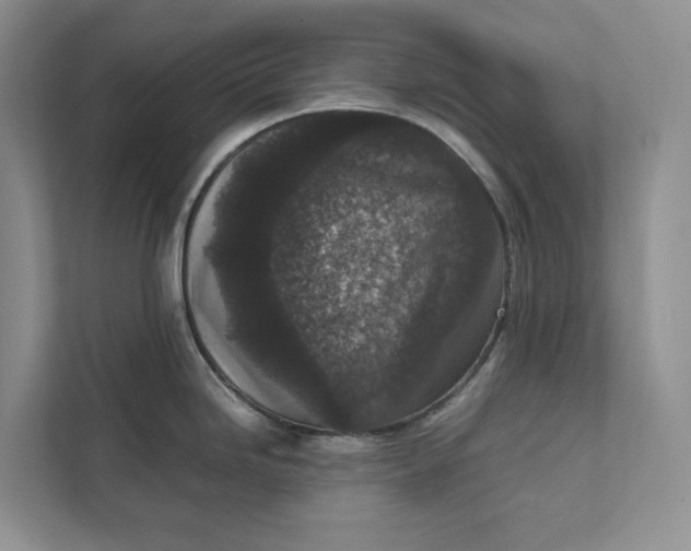 X0000111811246200908061109