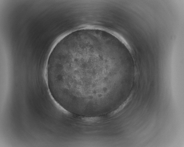 X0000111811247200908061109