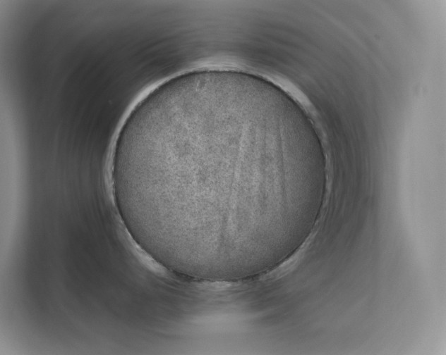 X0000111811248200908061109