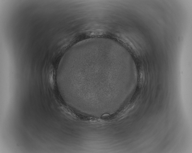 X0000111811250200908061108
