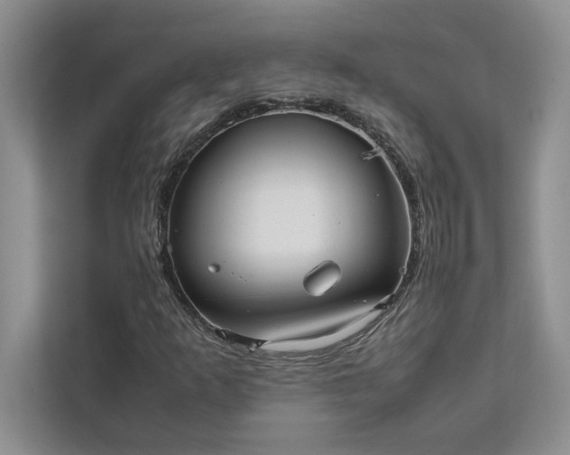 X0000111811253200908061108
