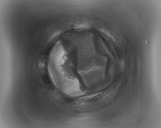 X0000111811254200908061108
