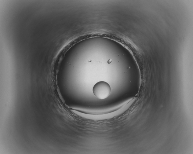 X0000111811256200908061108