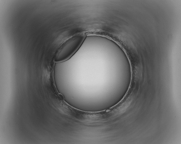 X0000111811257200908061108