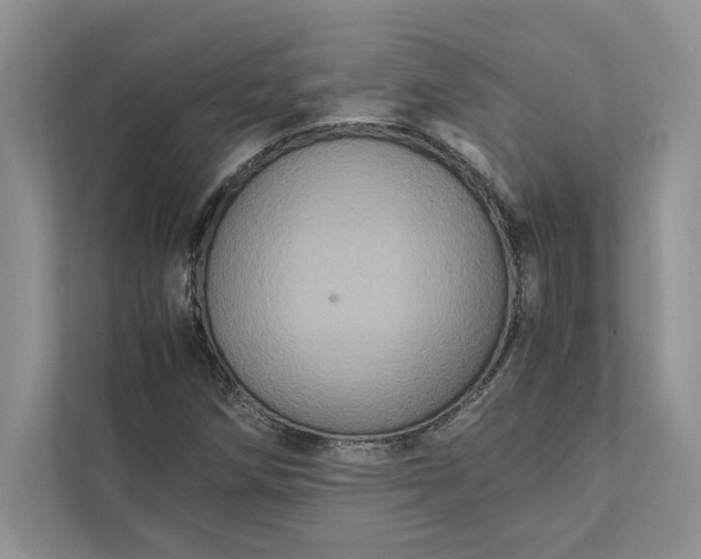 X0000111811258200908061108