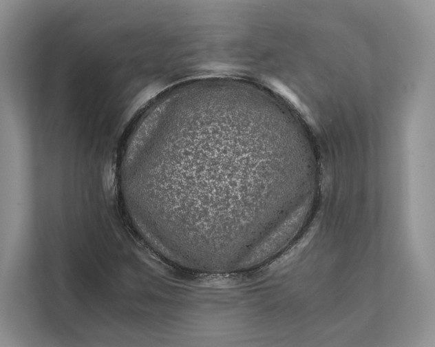 X0000111811259200908061108