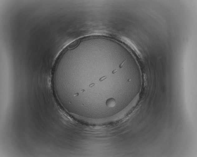 X0000111811260200908061108