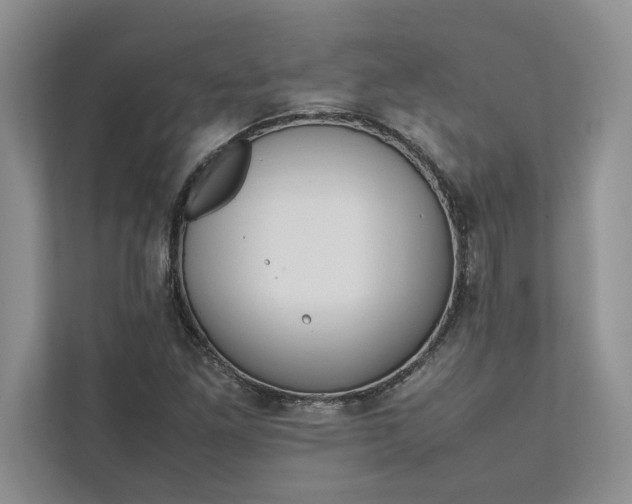 X0000111811261200908061108