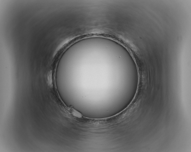 X0000111811262200908061108