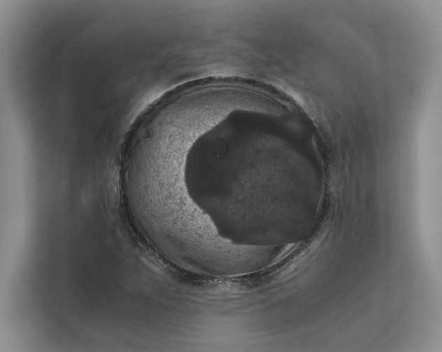 X0000111811263200908061108