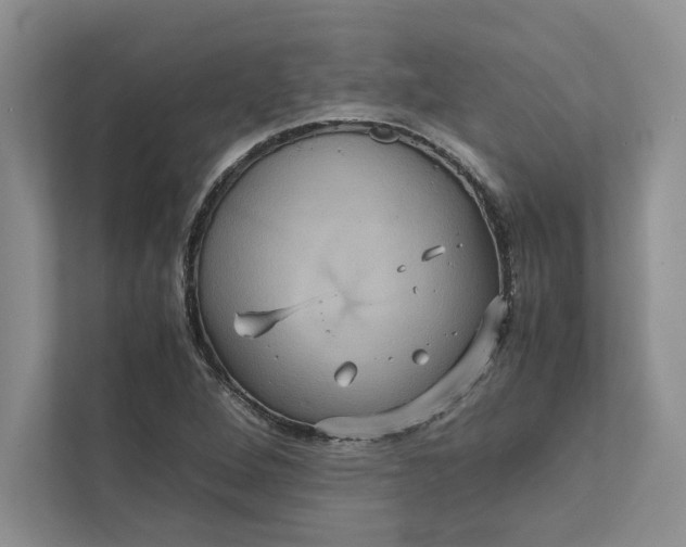 X0000111811264200908061108